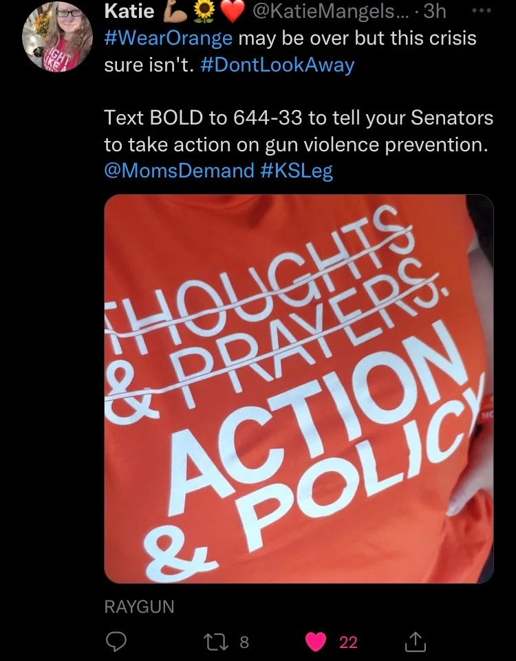 Action & Policy - Image 9