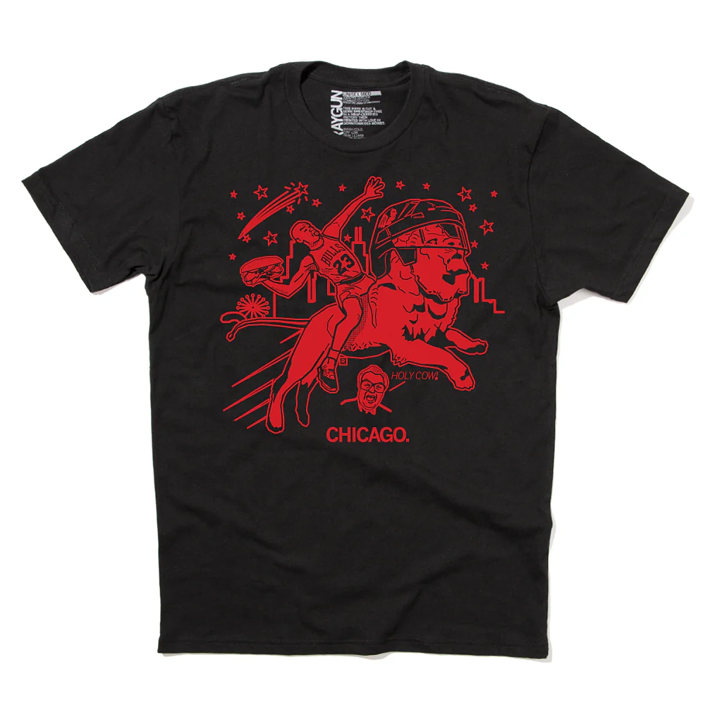 Air Chicago - Image 2