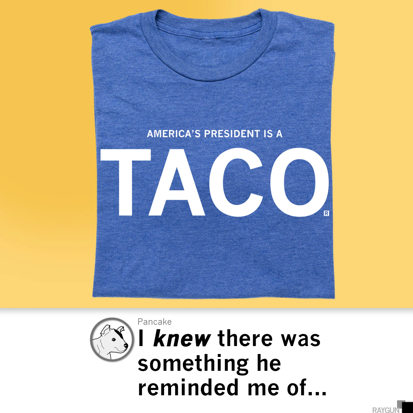 America's President Is a TACO - Image 4