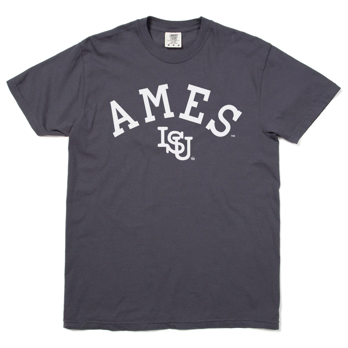 Ames Vintage Curved Logo Heavyweight Charcoal - Image 2