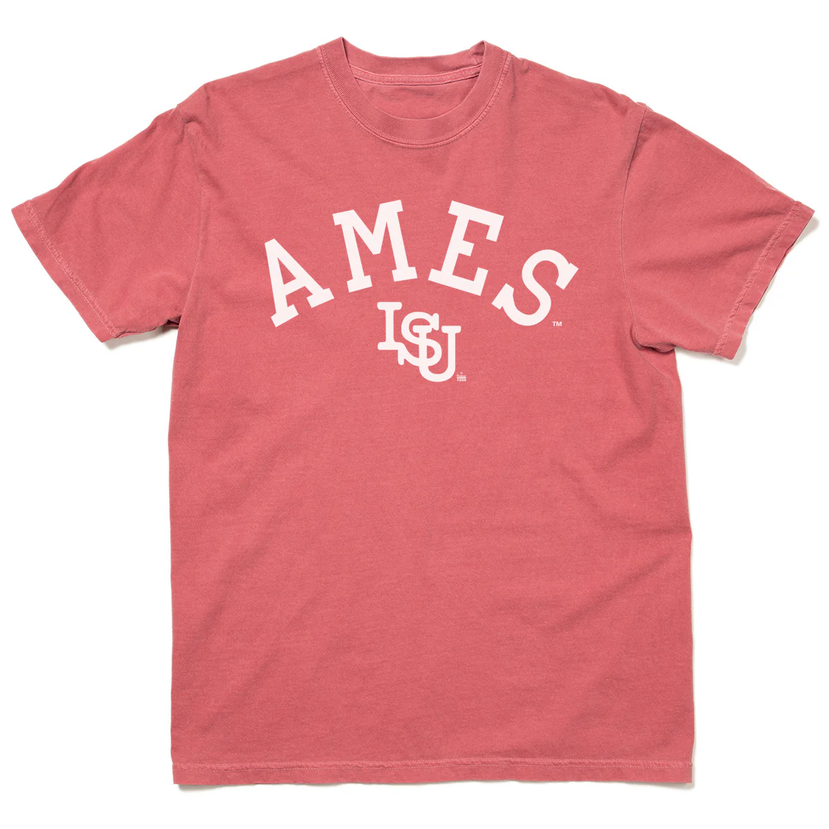 Ames Vintage Curved Logo Heavyweight Red - Image 2
