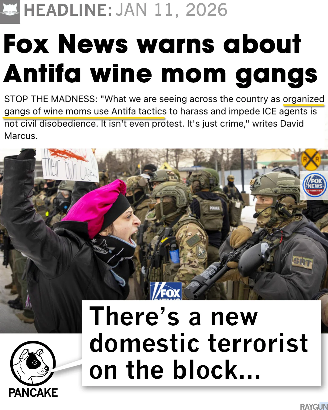 ANTIFA Wine Mom - Image 4