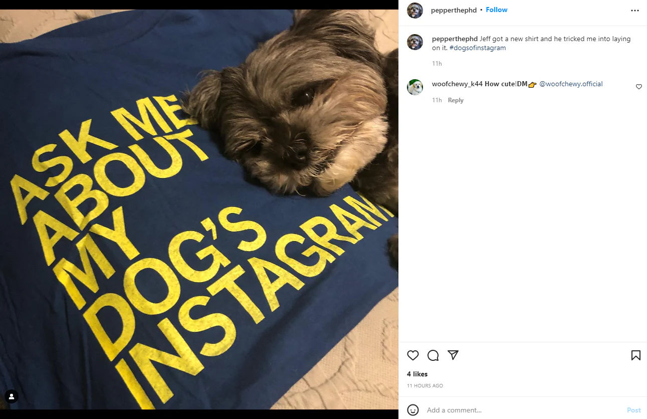 Ask Me About My Dog's Instagram - Image 13