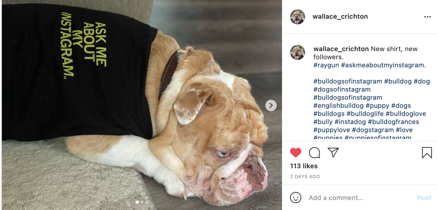 Ask Me About My Instagram Dog Shirt - Image 10