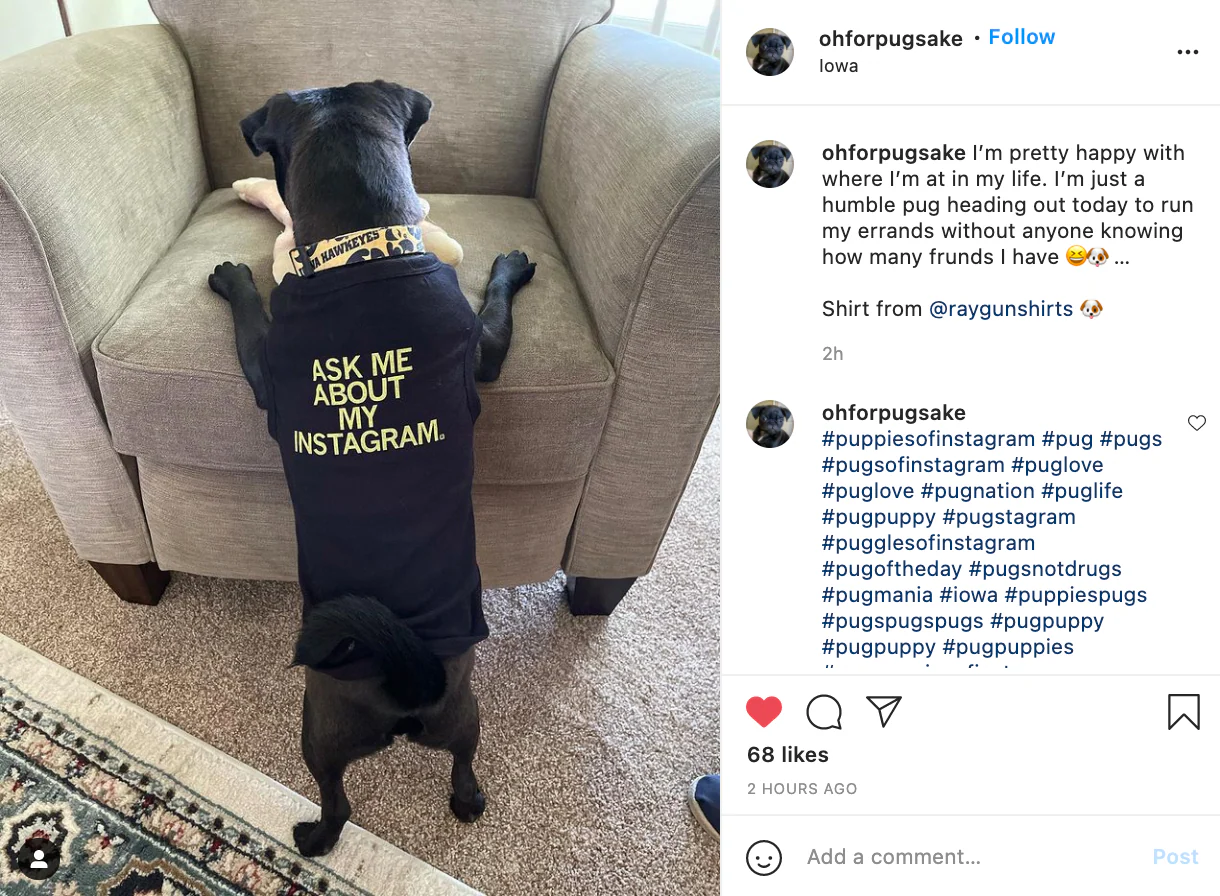 Ask Me About My Instagram Dog Shirt - Image 14