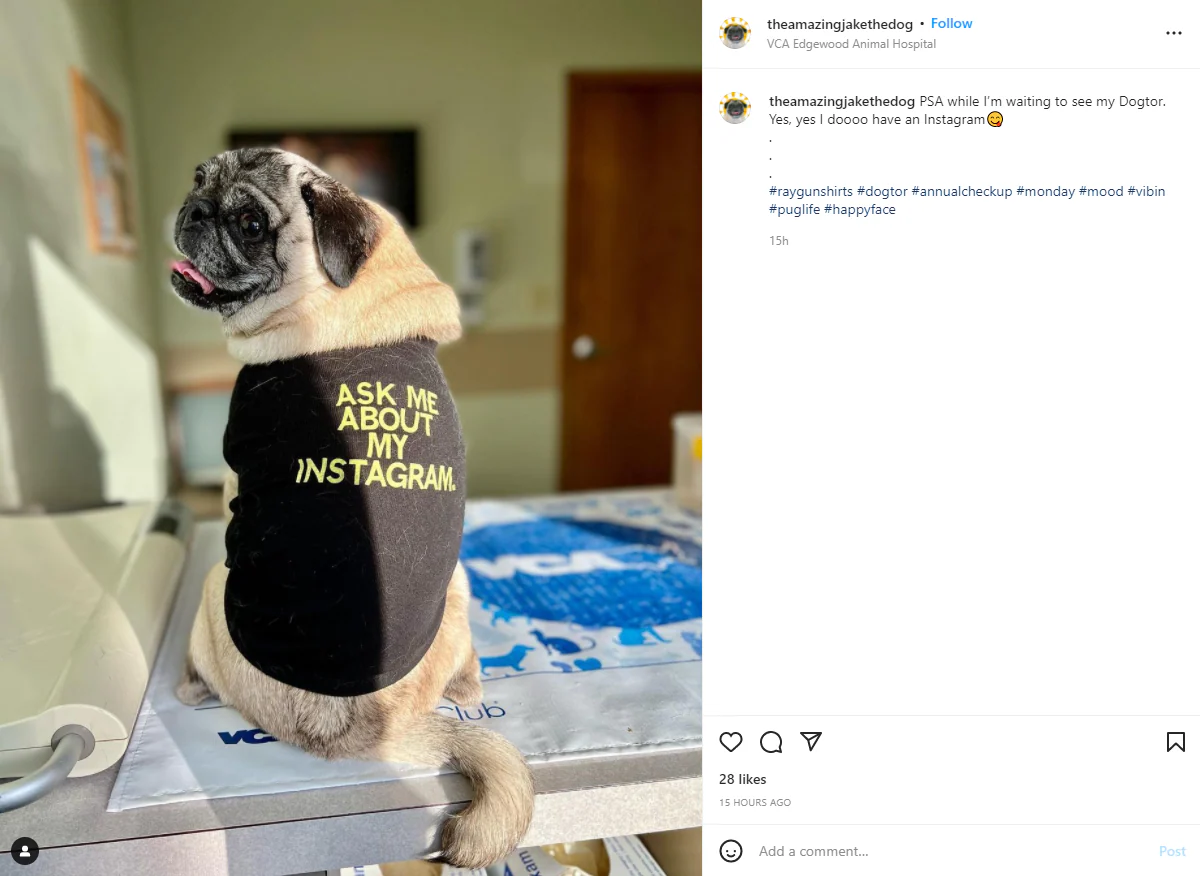 Ask Me About My Instagram Dog Shirt - Image 3