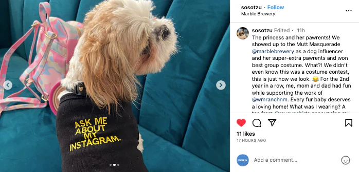 Ask Me About My Instagram Dog Shirt - Image 5