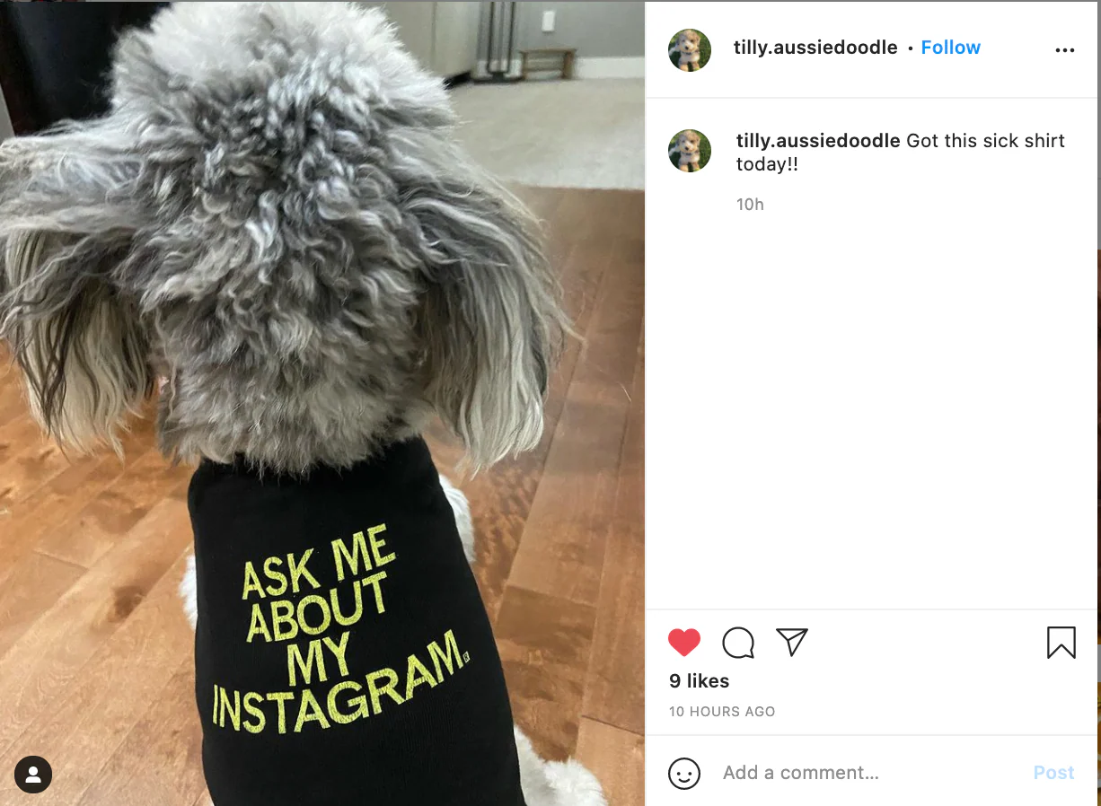 Ask Me About My Instagram Dog Shirt - Image 6