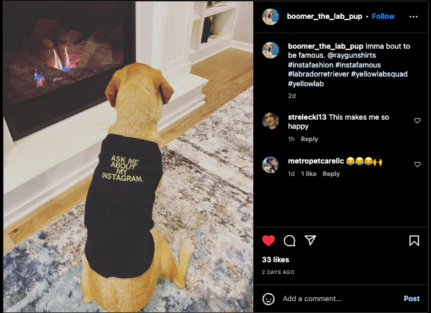 Ask Me About My Instagram Dog Shirt - Image 8