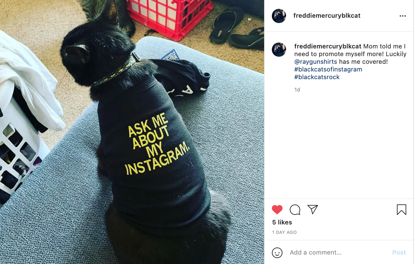 Ask Me About My Instagram Dog Shirt - Image 9