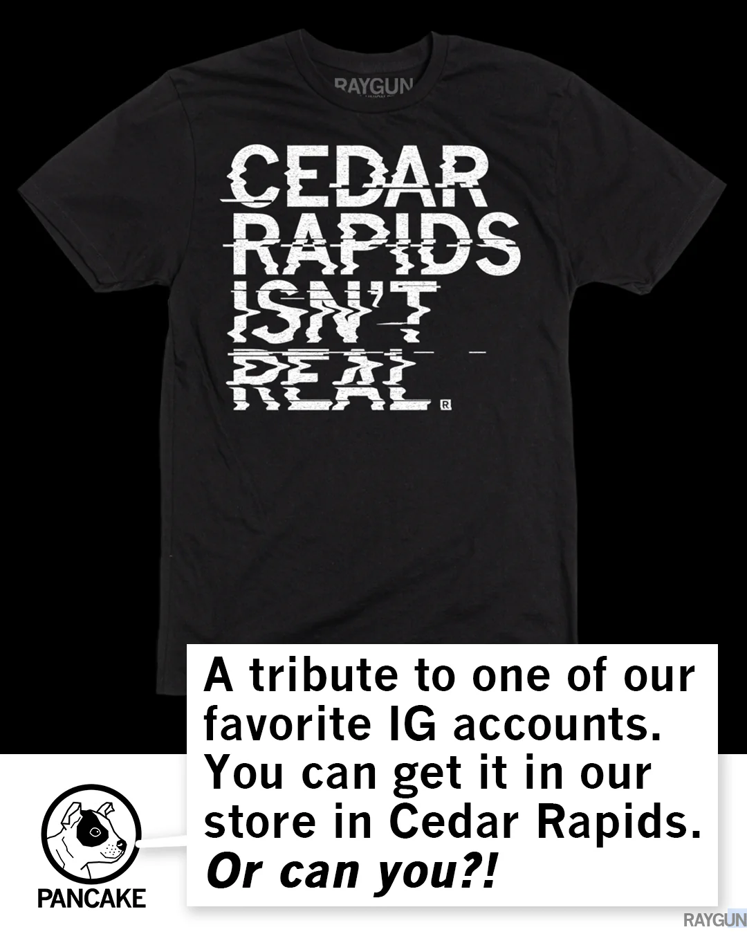 Cedar Rapids Isn't Real - Image 5