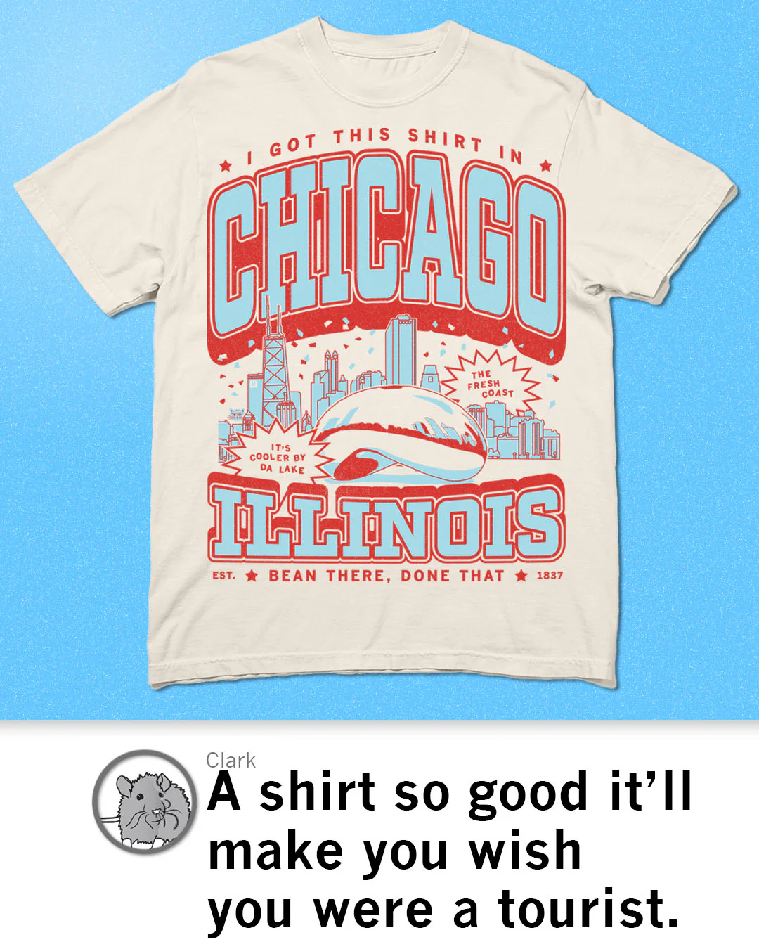 Chicago Max Collegiate Heavyweight - Image 3
