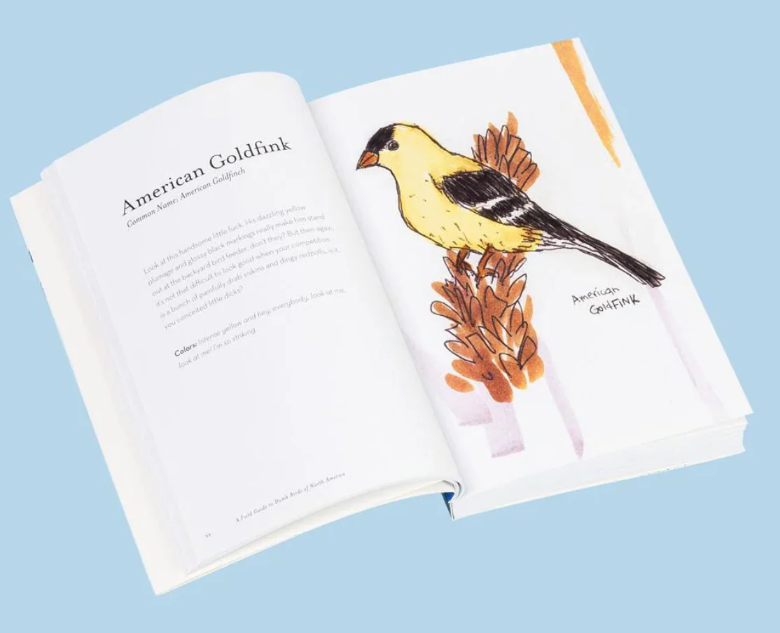 Chronicle: The Field Guide to Dumb Birds of North America - Image 2