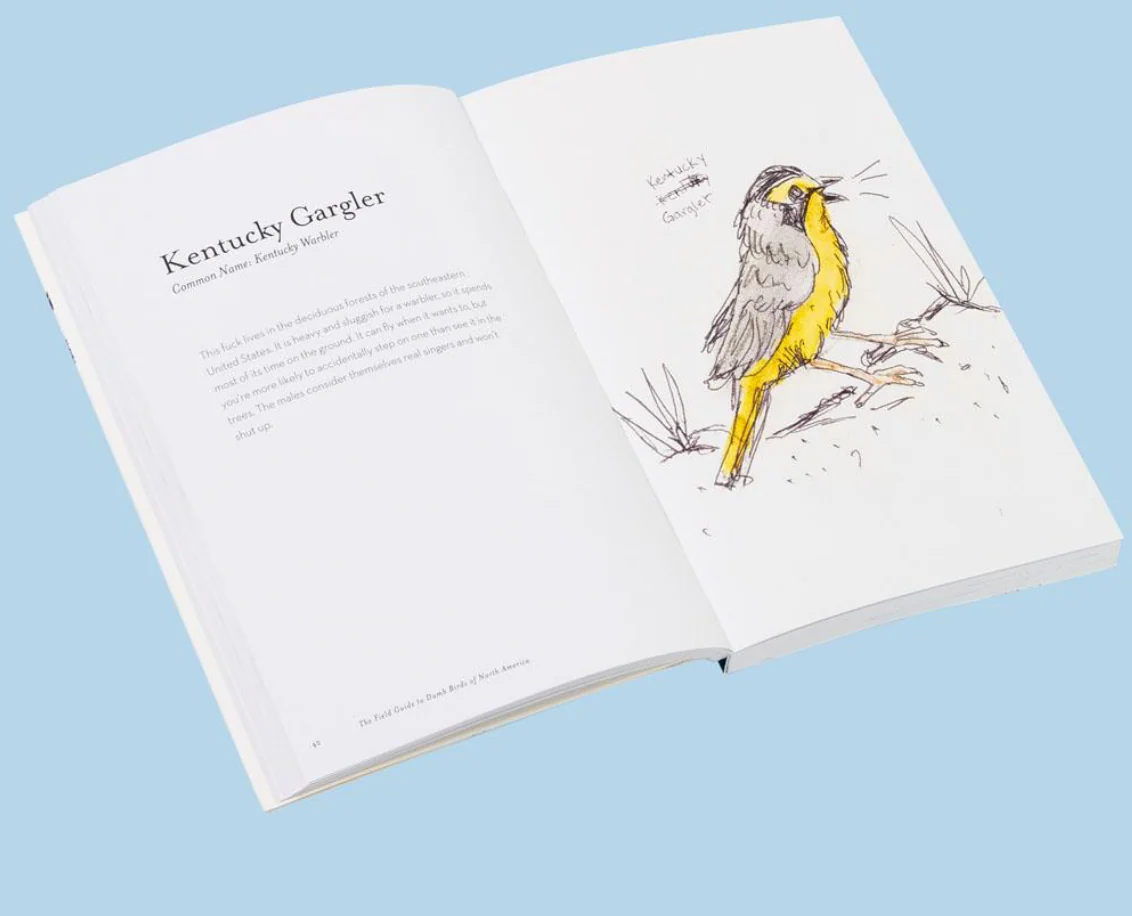 Chronicle: The Field Guide to Dumb Birds of North America - Image 4