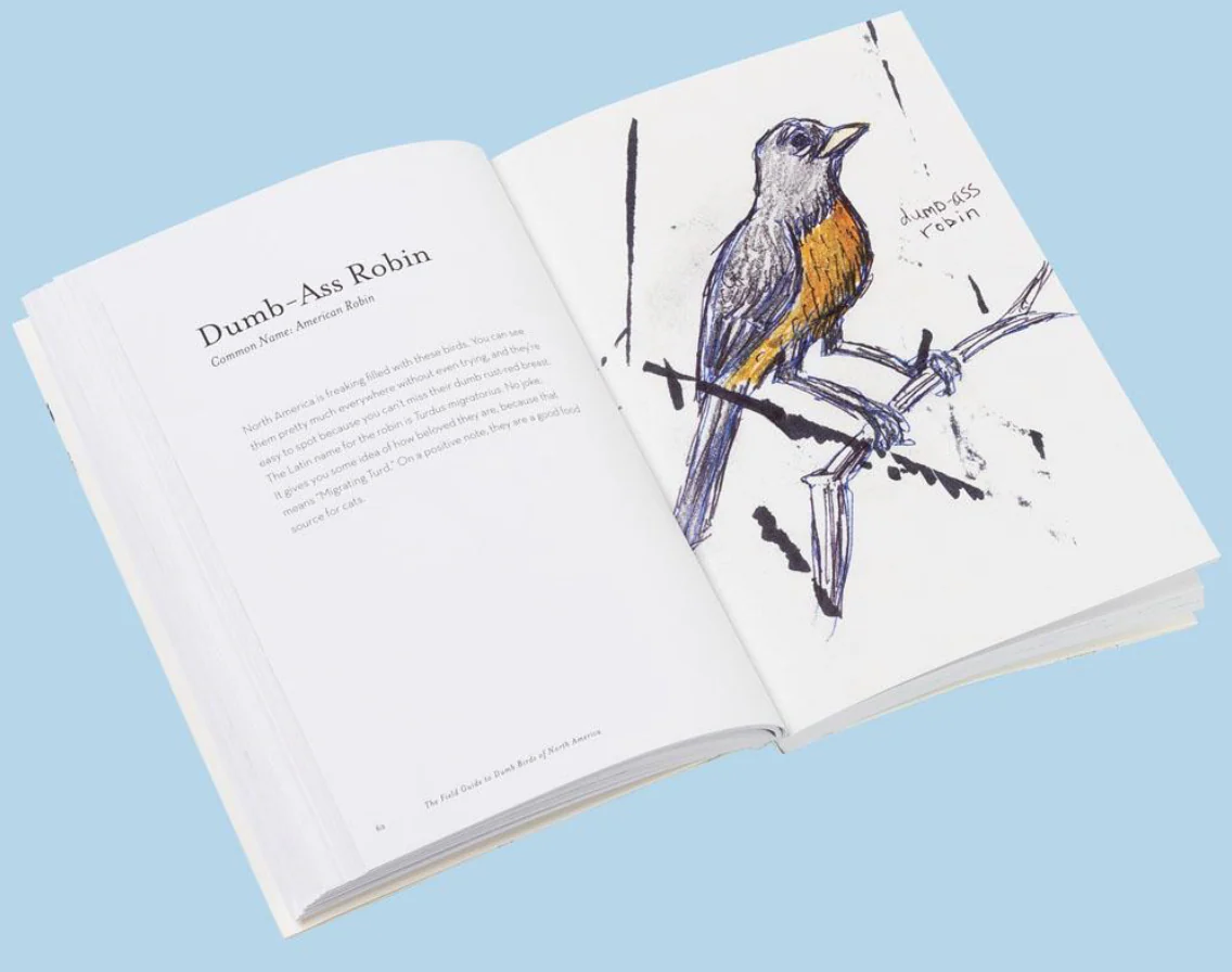 Chronicle: The Field Guide to Dumb Birds of North America - Image 6