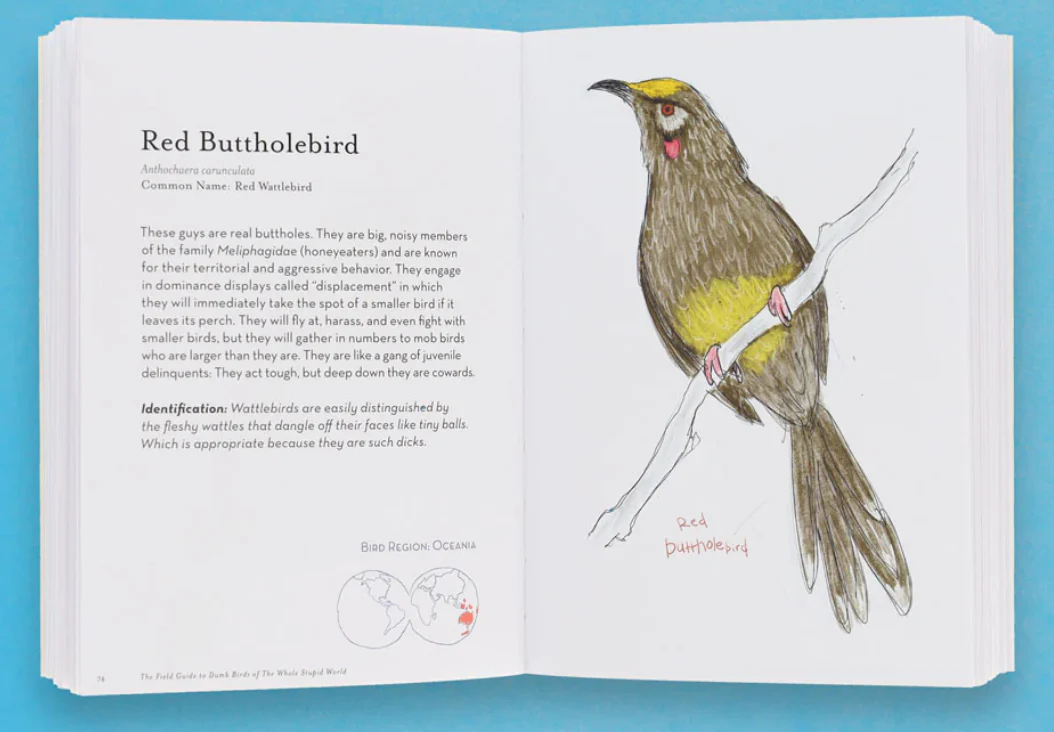 Chronicle: The Field Guide to Dumb Birds of the Whole Stupid World - Image 5
