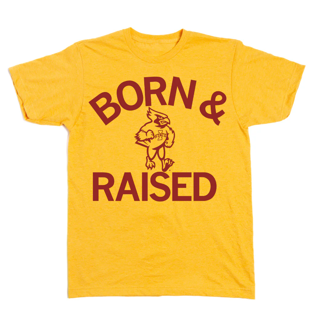 Cyclones Born & Raised - Image 2
