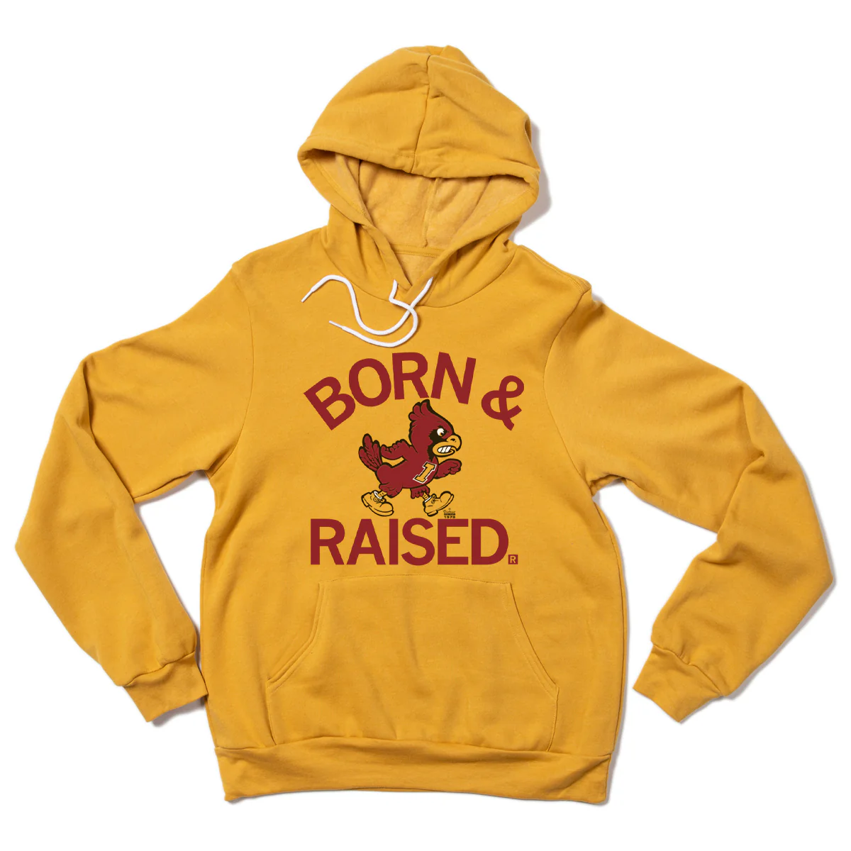 Cyclones Born & Raised Vintage Gold Pullover Hoodie - Image 2