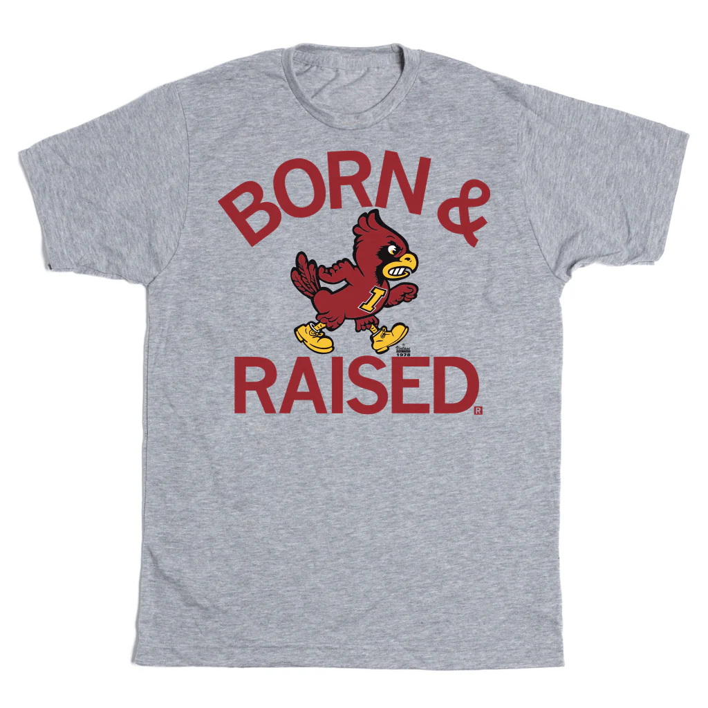 Cyclones Born & Raised Vintage Grey - Image 2