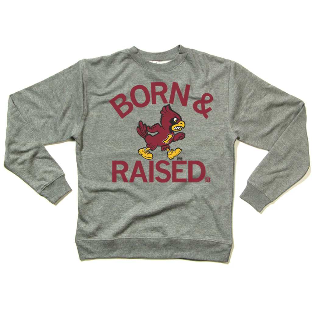 Cyclones Born & Raised Vintage Grey Crew Sweatshirt - Image 2