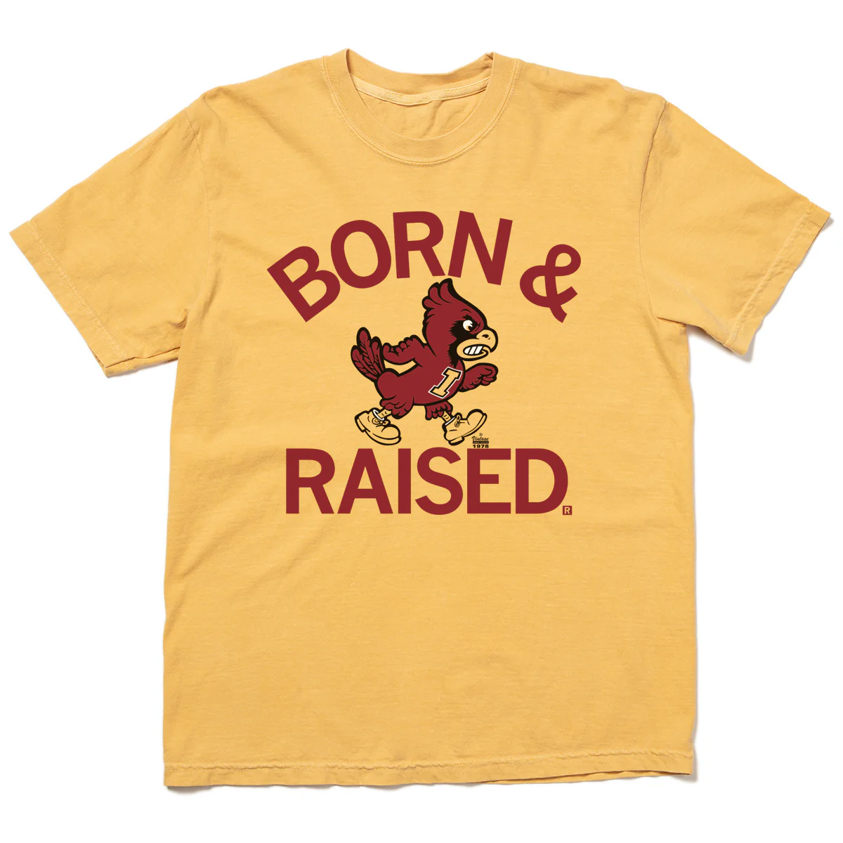 Cyclones Born & Raised Vintage Heavyweight - Image 2
