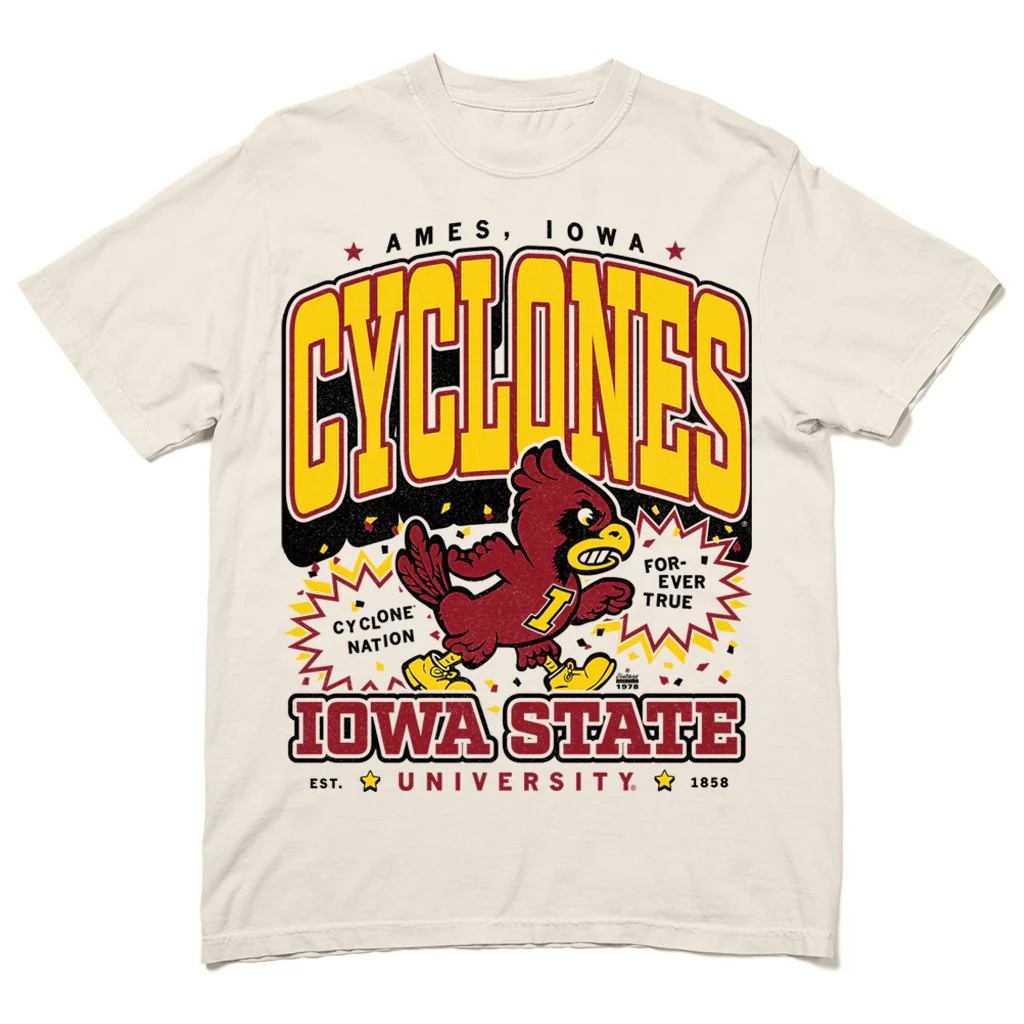 Cyclones Max Collegiate Heavyweight - Image 2