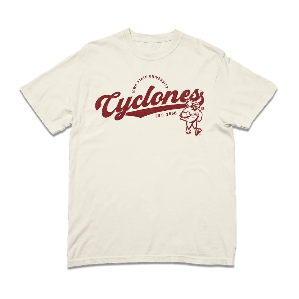 Cyclones Script Logo Heavyweight - Image 2