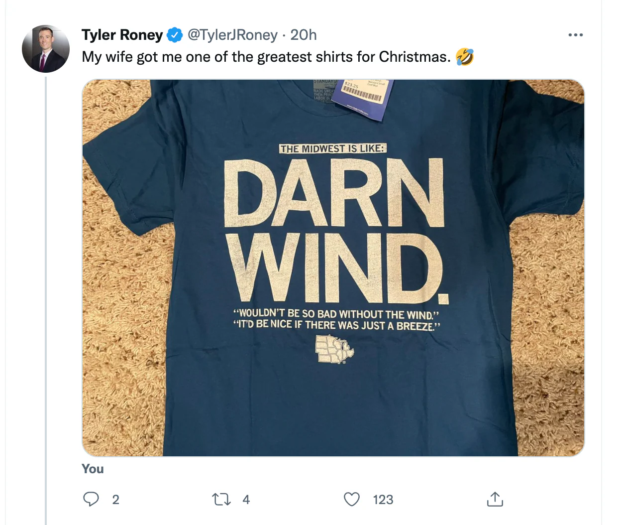 Darn Wind - Image 3