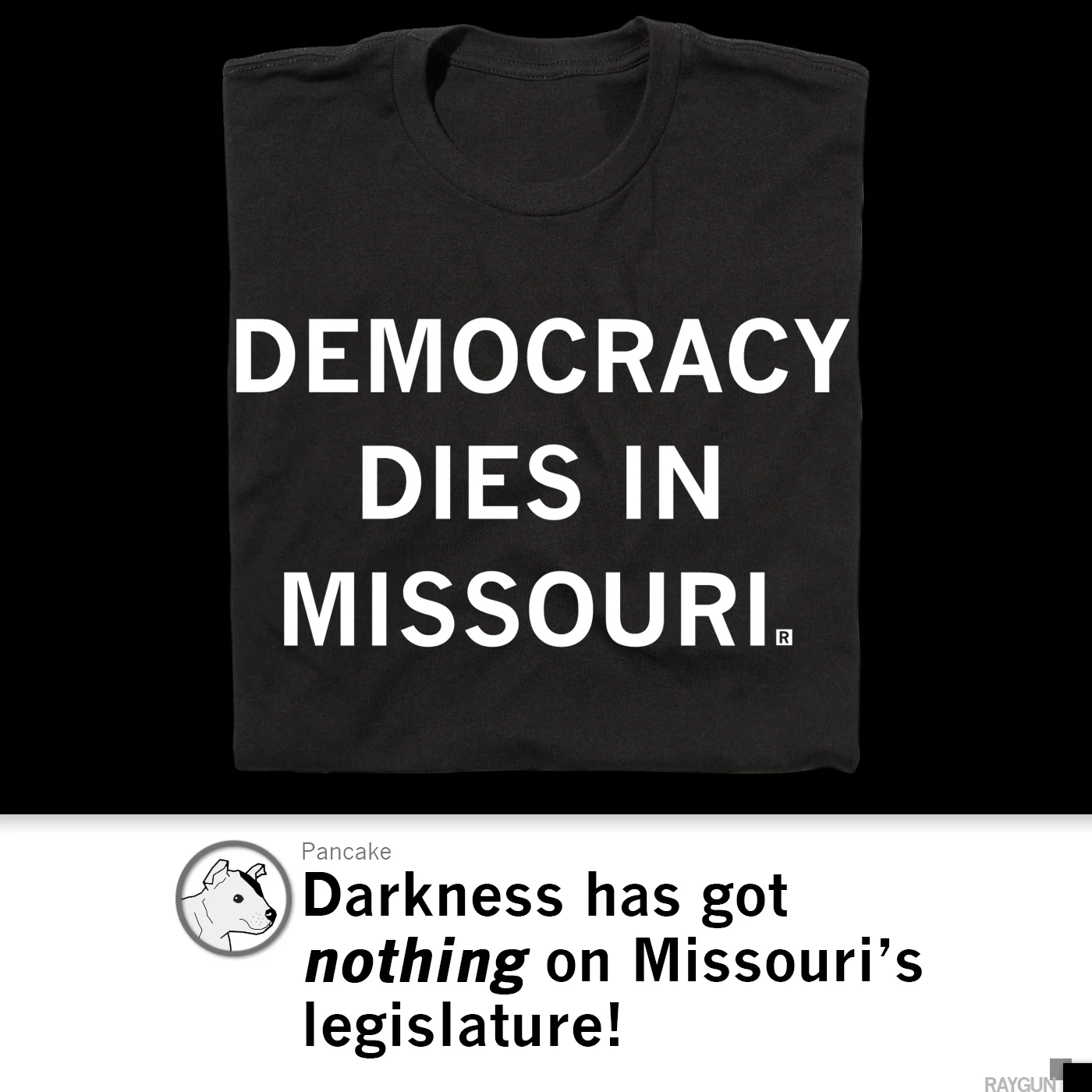 Democracy Dies in Missouri - Image 4