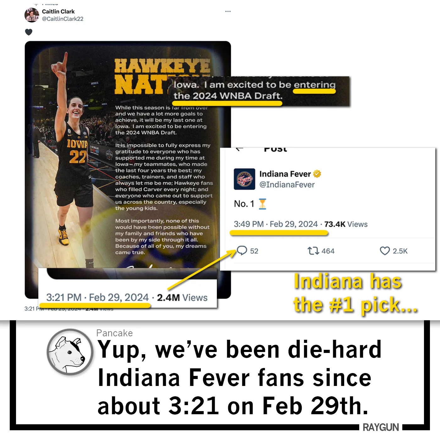 Die-Hard Indiana Fever Fan - Image 3