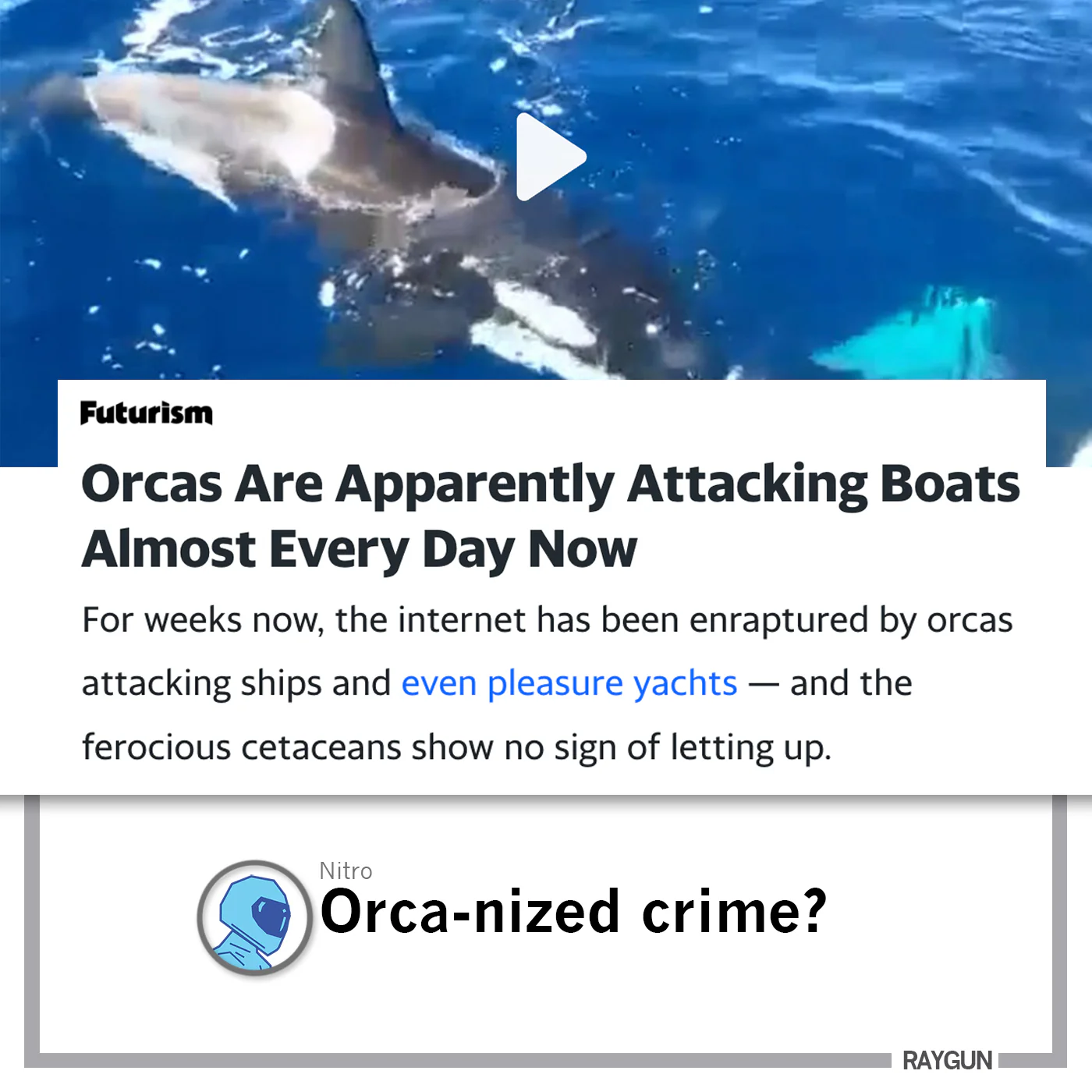 Eat The Yachts - Image 3