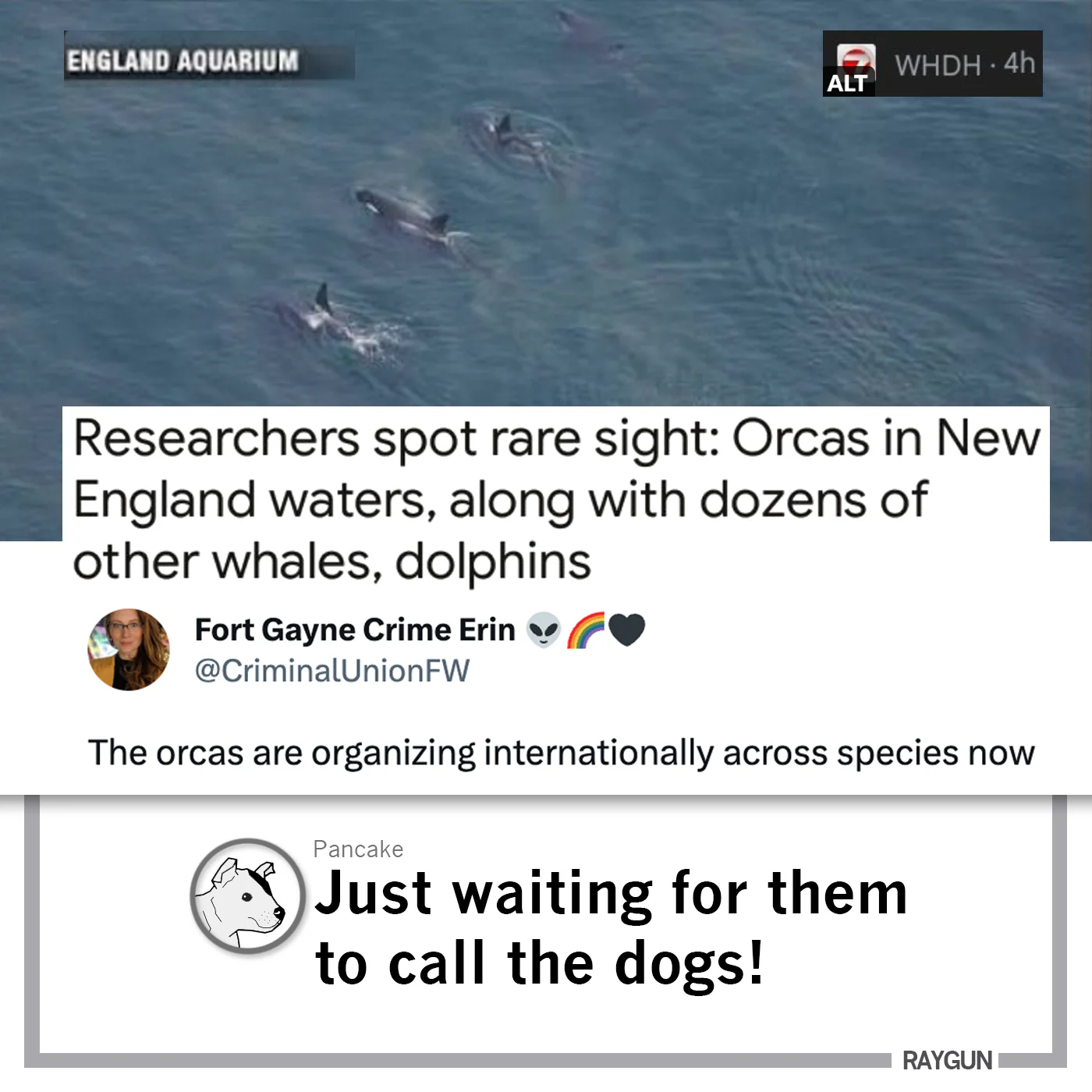 Eat The Yachts - Image 4