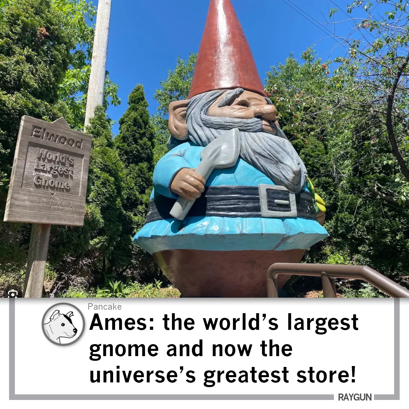 Elwood Gnome - Image 3