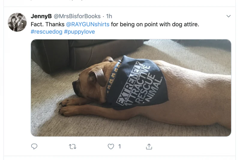 Extremely Attractive Dog Bandana - Image 4