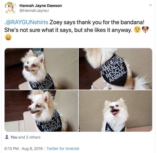 Extremely Attractive Dog Bandana - Image 5
