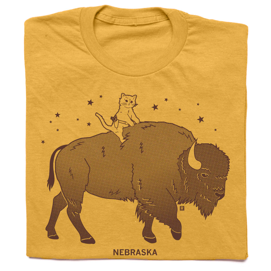 Gary Riding Bison
