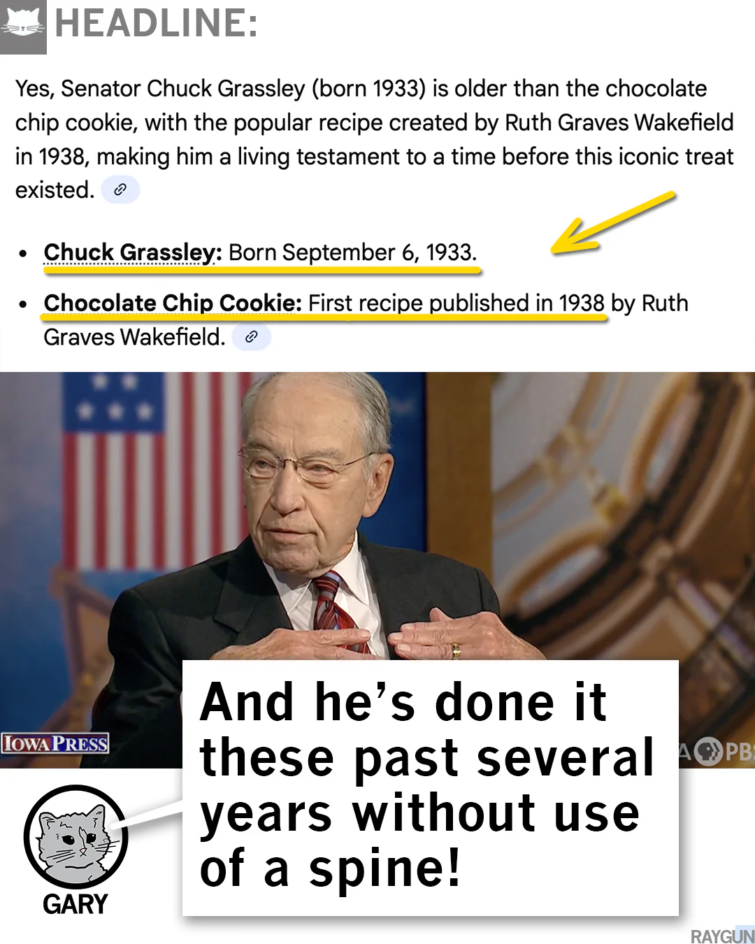 Grassley: Older Chocolate Chip Cookie - Image 3