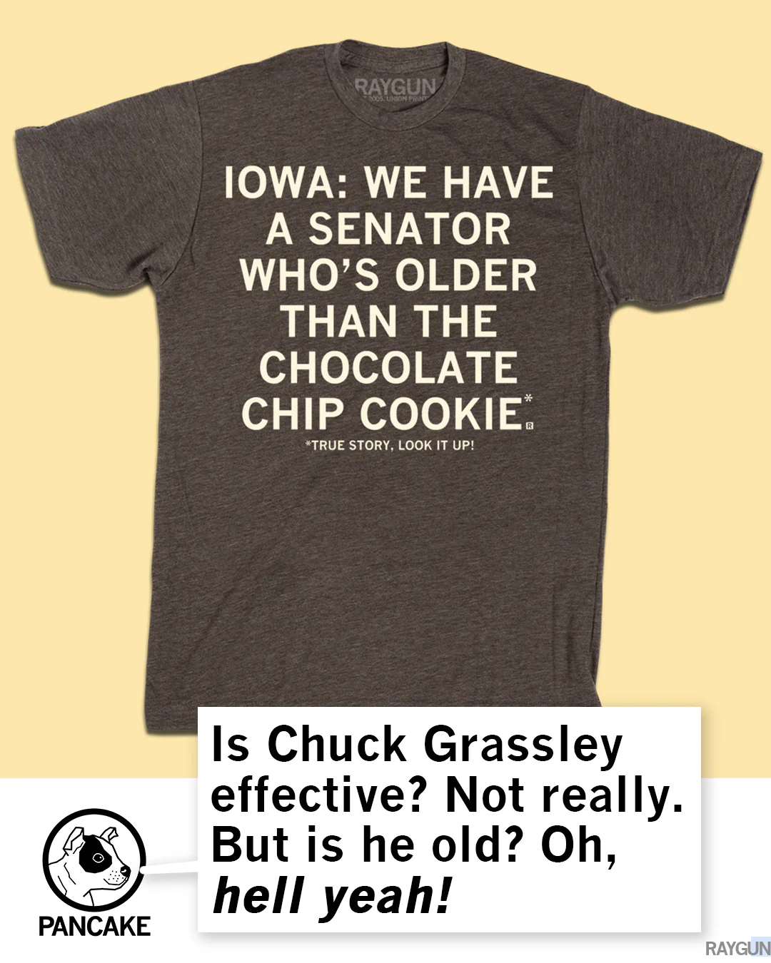 Grassley: Older Chocolate Chip Cookie - Image 4