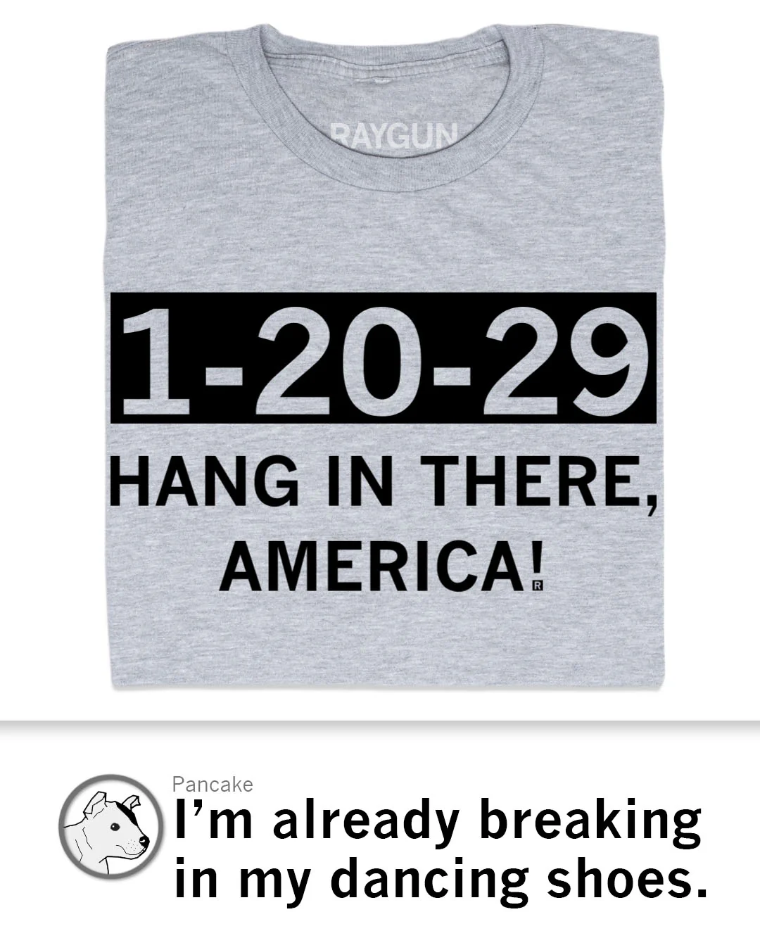 Hang In There America - Image 3