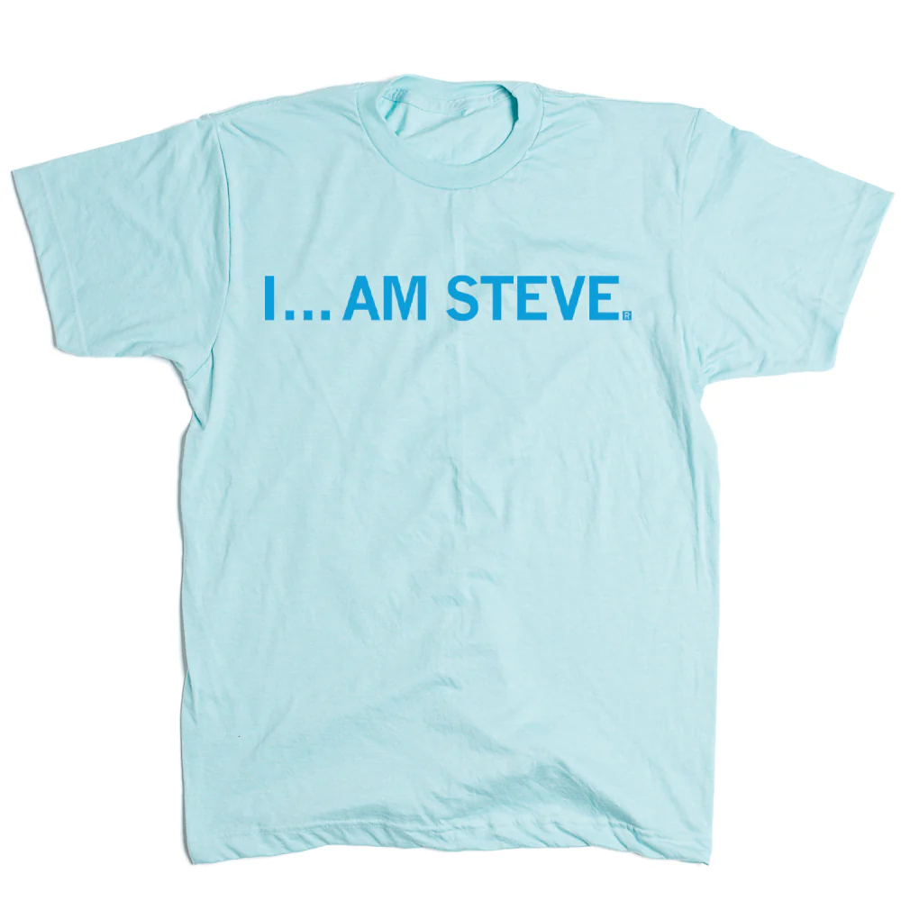 I Am Steve - Image 2