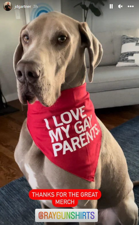 I Love My Gay Parents Dog Bandana - Image 4