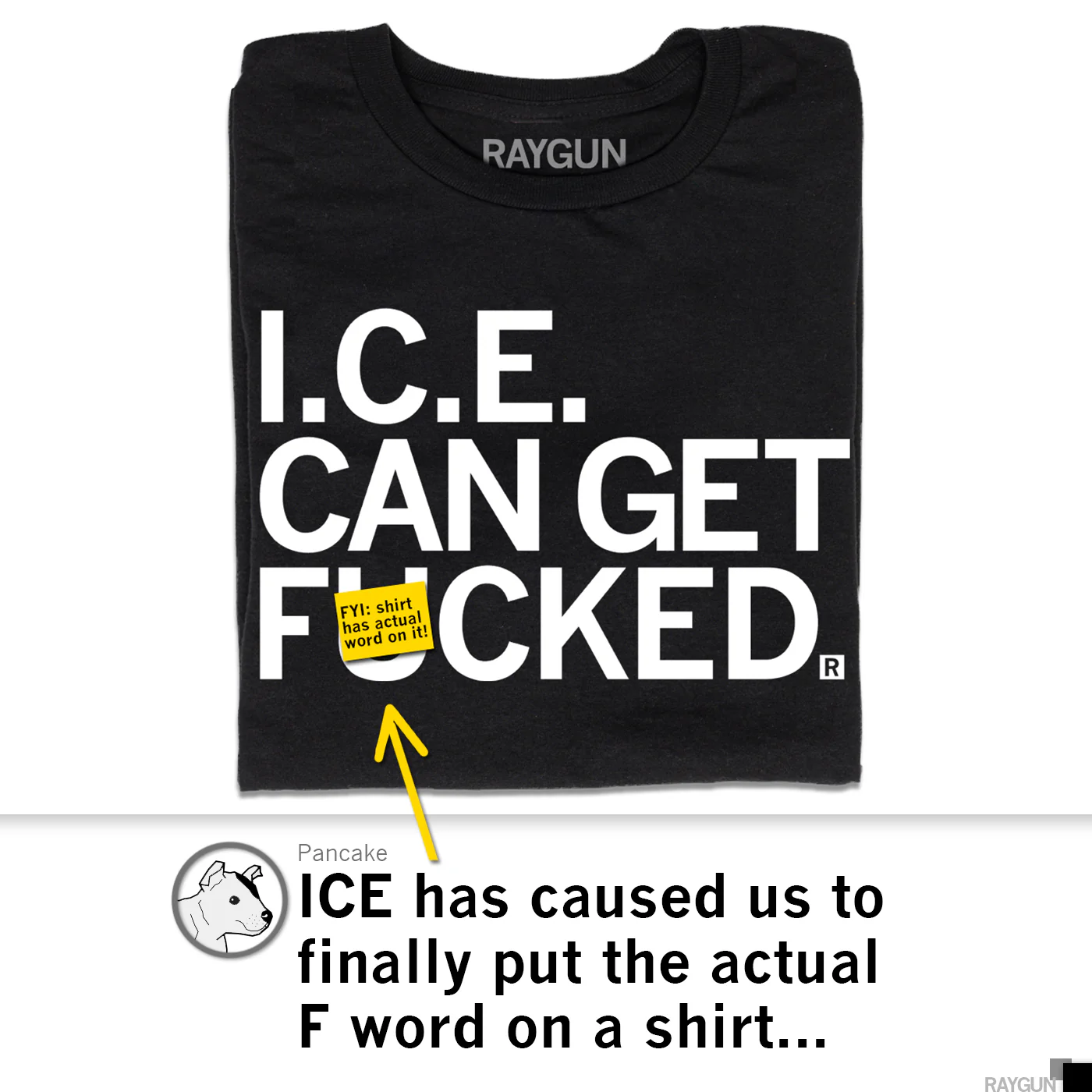 ICE Can Get F-ed - Image 4