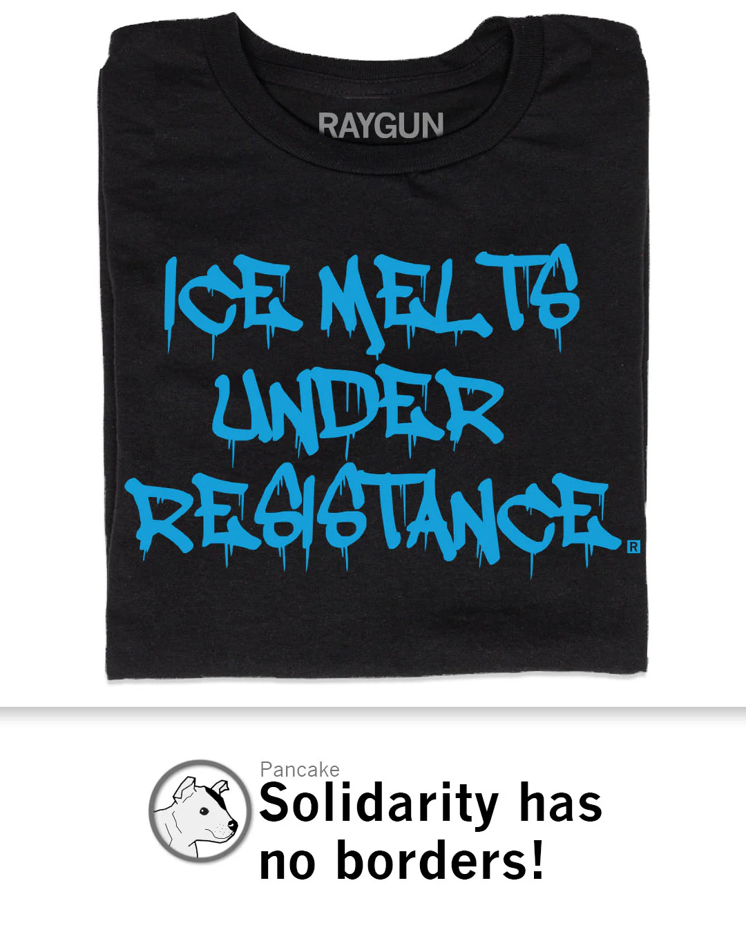 ICE Melts Under Resistance - Image 3