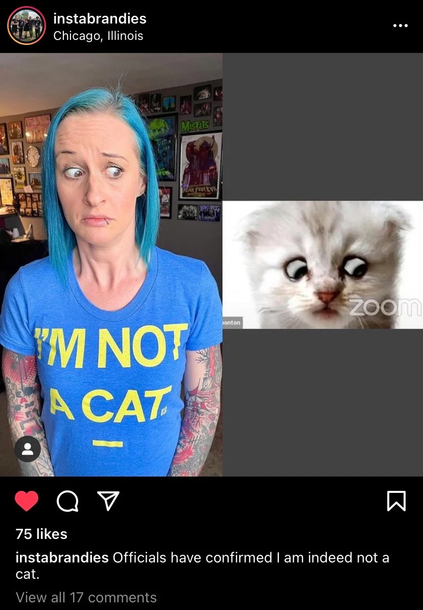 I'm Not A Cat (R) - Image 7