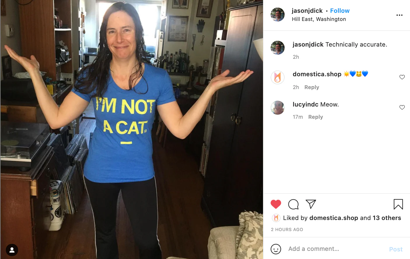 I'm Not A Cat (R) - Image 8
