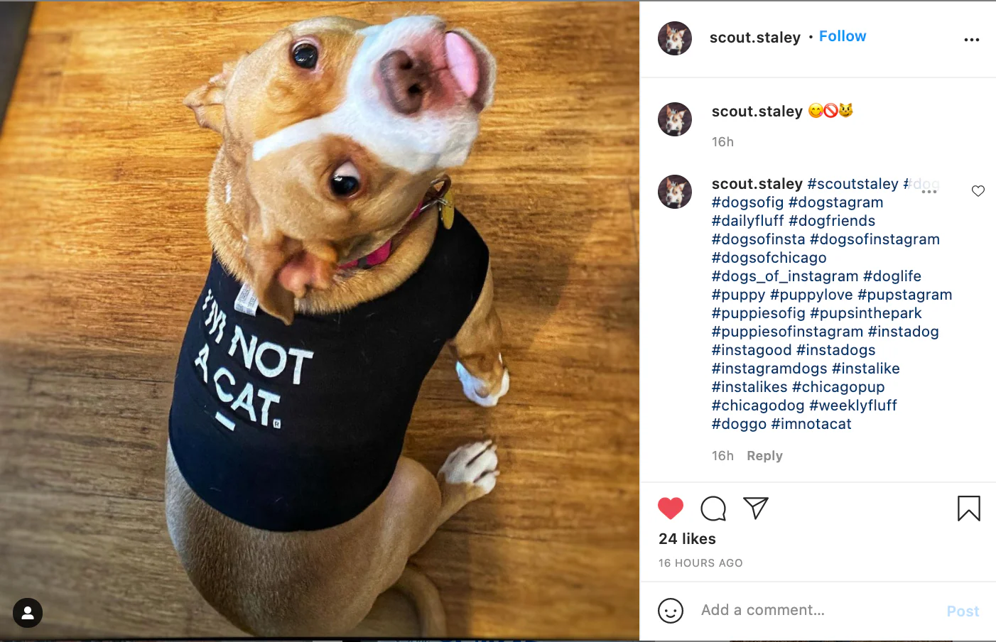 I'm Not A Cat Dog Shirt - Image 8