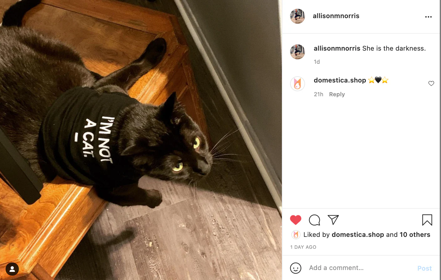 I'm Not A Cat Dog Shirt - Image 9