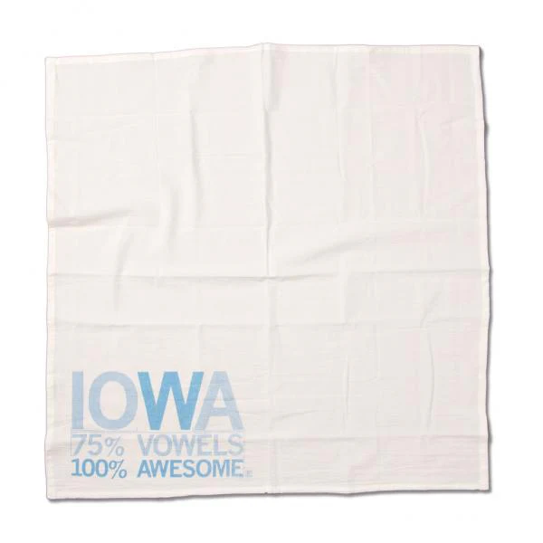 Iowa Vowels Kitchen Towel - Image 3
