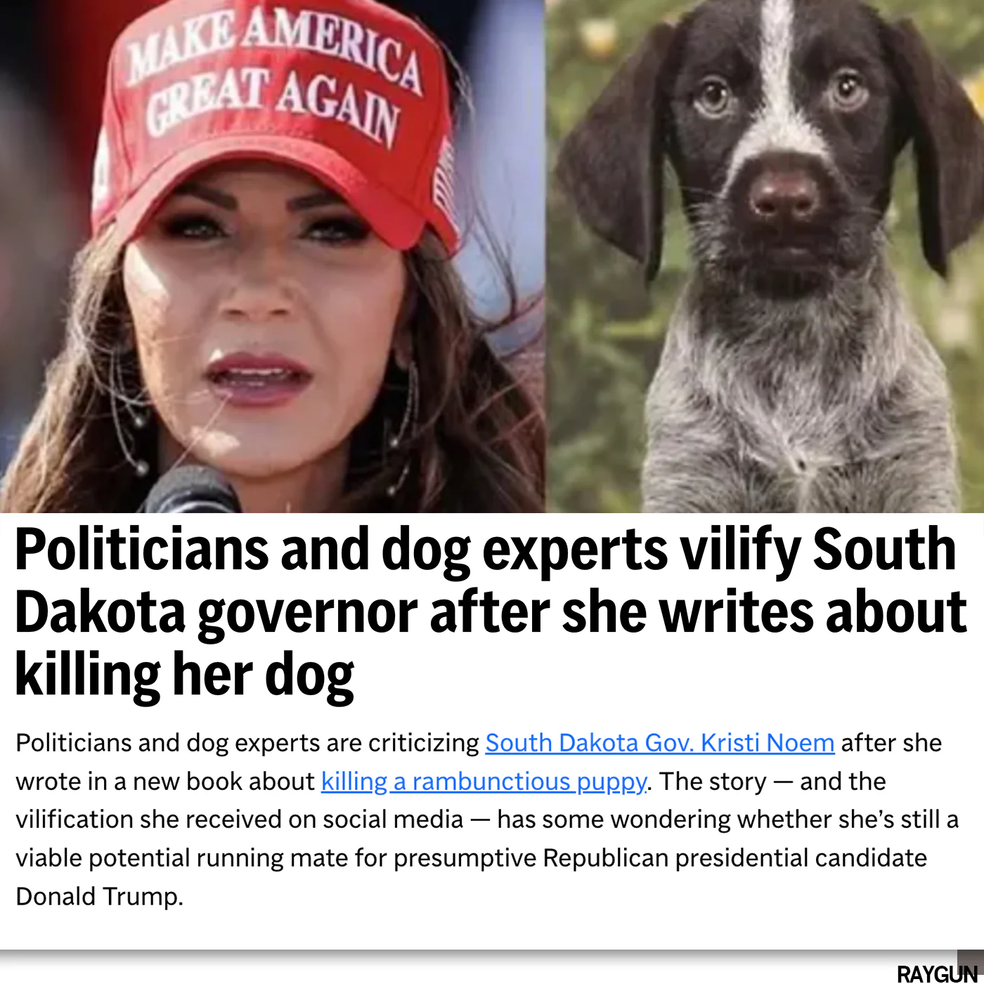 Kristi Noem Shoots Puppies - Image 4