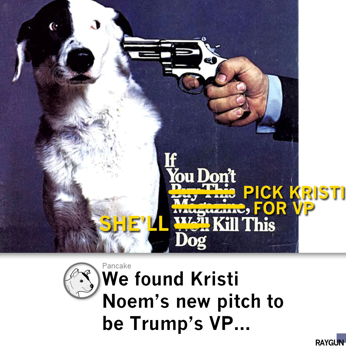 Kristi Noem Shoots Puppies - Image 6